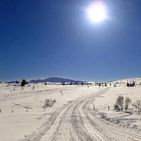 Lovely In With House A Mountain View * Ron